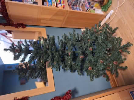 Photo of free Christmas tree (Kendal LA9) #1