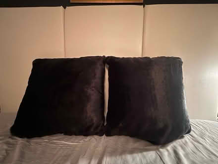 Photo of free Faux fur pillows (M2M 3K1) #2