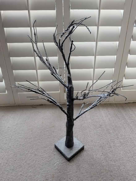 Photo of free Christmas decorations (Stannington S6) #4