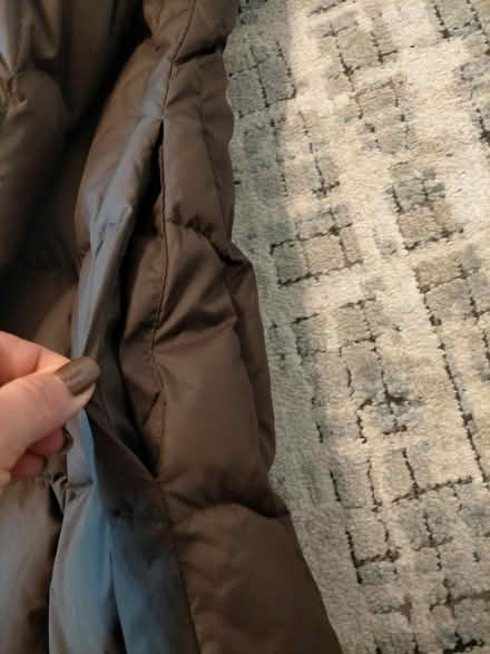 Photo of free Size 12-14 women winter jacket/coat (Stevenage SG1) #4