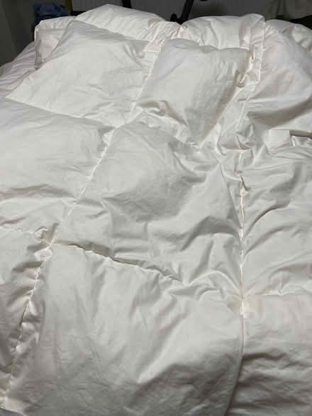 Photo of free Single Ikea feather down duvet (Upper Norwood SE19) #1
