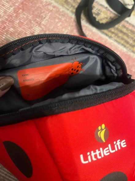 Photo of free Toddler bag with harness ladybird (Wye (TN25)) #2