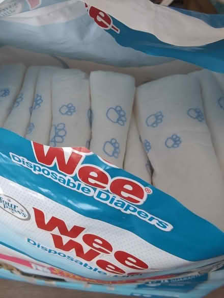 Photo of free Dog nappies (medium) (Splott CF24) #2