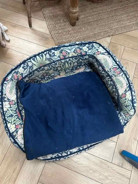 Photo of free dog bed (chiswick) #2