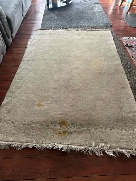 Photo of free Rug 210cm x 135cm (CR7) #1