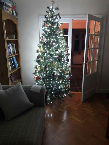 Photo of free Christmas Tree 7ft 6 inches (7.5 Foot 2.286 Metre) (Willaston CW5) #2