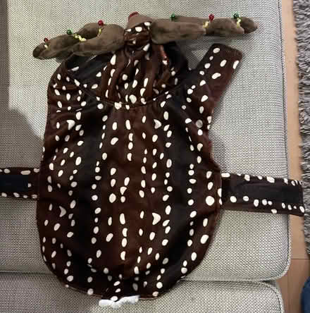 Photo of free Reindeer Dog Coat (Willaston CH64) #2