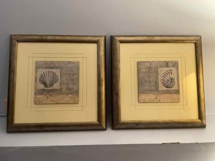 Photo of free 2 framed bathroom pictures (Roselle) #1