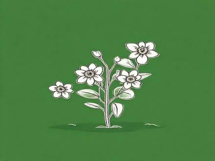 Photo of free Honeysuckle cuttings (Wimbledon Village SW19) #1