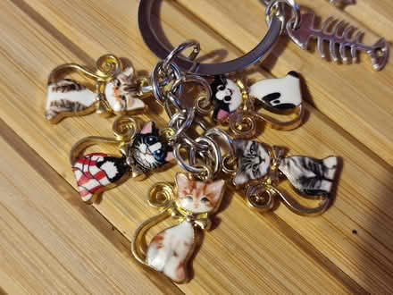 Photo of free Cats keyring (Barton/Headington, OX3) #2