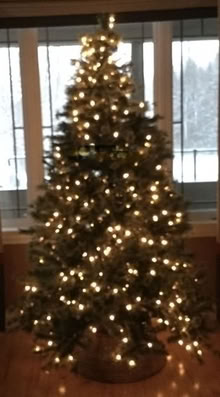 Photo of free Prelite artificial Christmas tree (Stittsville) #1