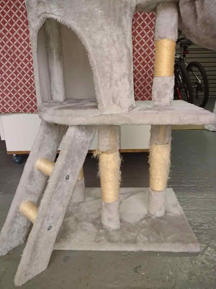 Photo of free Cat climber 5ft tall (Haydock) #2