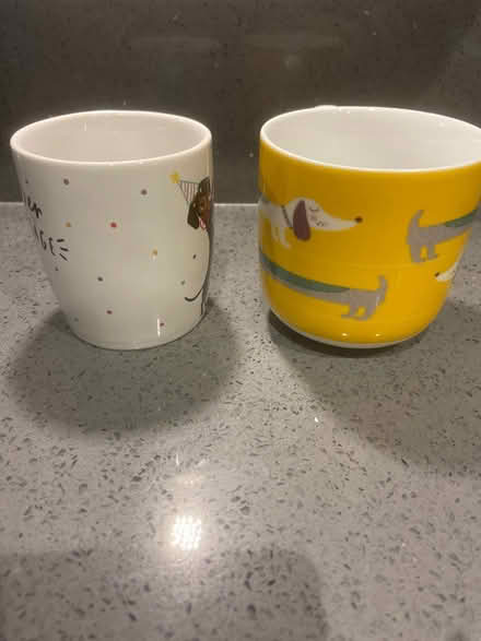 Photo of free 2 sausage dog mugs (hazel grove SK7) #2