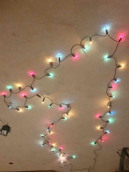 Photo of free Christmas lights (Malvern WR14) #2