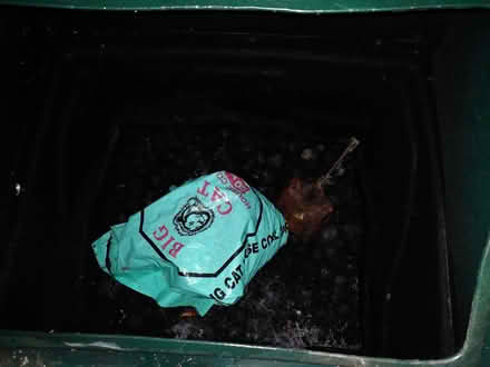 Photo of free coal bunker with coal (Pantperthog SY20) #3