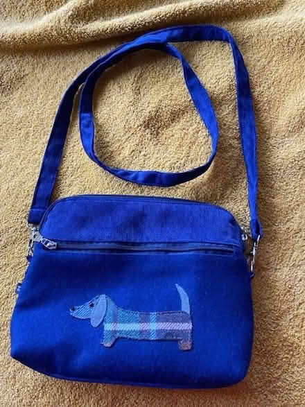 Photo of free Suede/Suedette handbag (Malvern WR14) #1