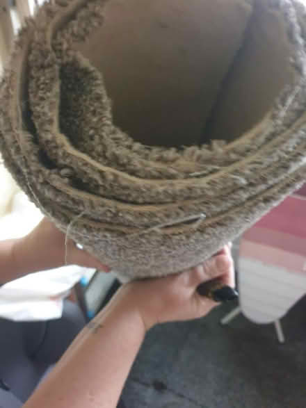 Photo of free Carpet roll (Killamarsh S21) #1