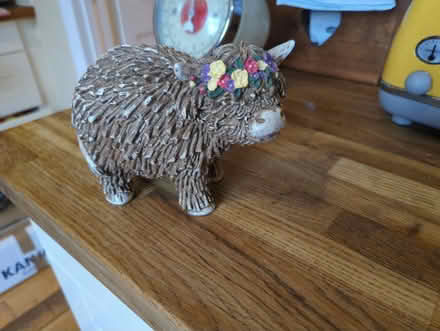 Photo of free Resin highland cow figurine (SS09TG) #2
