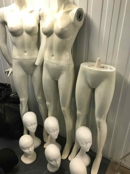 Photo of free Mannequin parts and display stands (Dun Laoghaire- Nesta storage) #1
