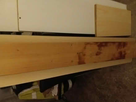 Photo of free used pine wood (Northop Hall CH7) #1