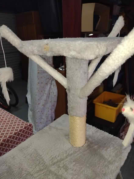 Photo of free Cat climber 5ft tall (Haydock) #3
