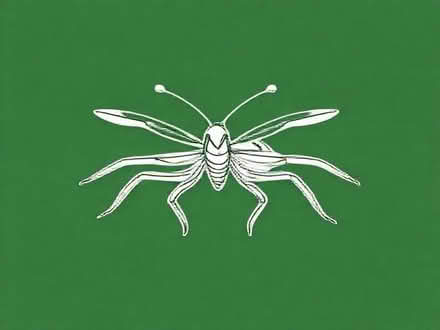 Photo of free Carex pendula (Wimbledon Village SW19) #1