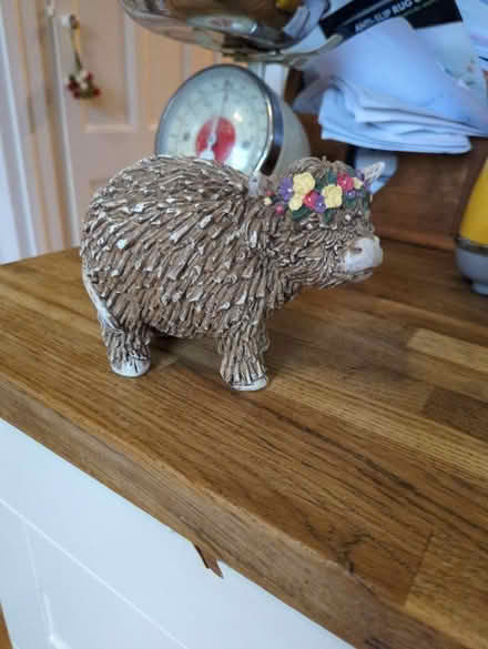 Photo of free Resin highland cow figurine (SS09TG) #3