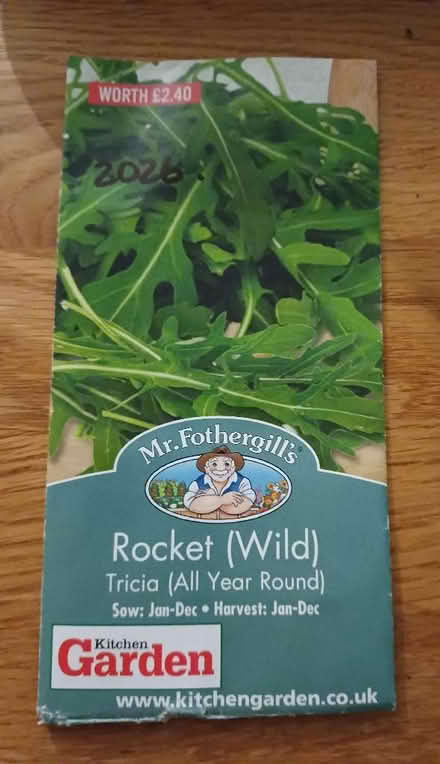 Photo of free Wild Rocket seeds. (Chichester PO19) #1