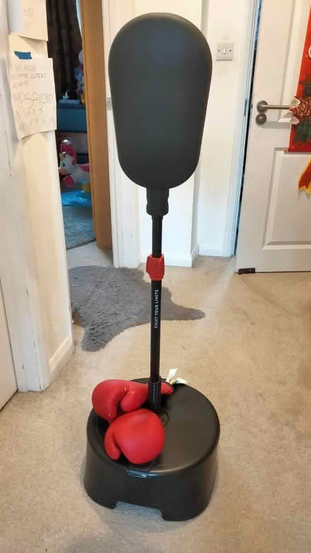 Photo of free Kids Punching Thing (Hedgerley SL2) #1