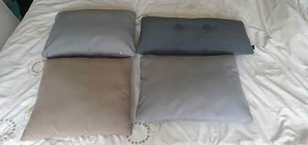 Photo of free 4 cushions (Hartington Road BN2) #1