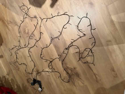 Photo of free Multicoloured Xmas lights (Standlake OX29) #1