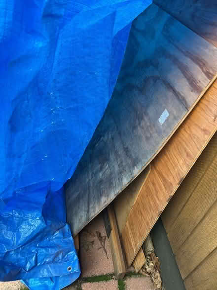 Photo of free Plywood (Carmichael) #3