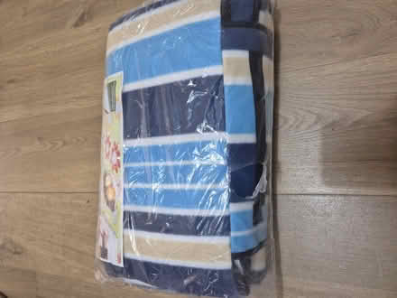 Photo of free Unused picnic blanket (Radford Park GU30) #1