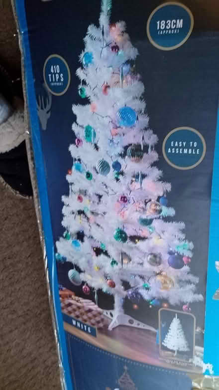 Photo of free Christmas tree 6ft White (Sandbach) #1