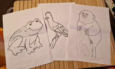 Photo of free Children's activity sheets (Barton/Headington, OX3) #2