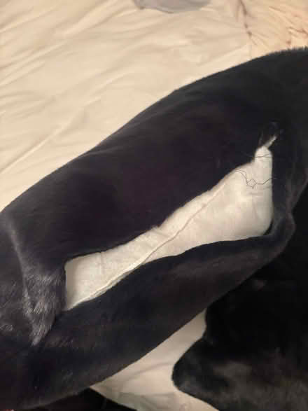 Photo of free Faux fur pillows (M2M 3K1) #4