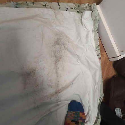 Photo of free Curtains x2 (Rotherhithe SE16) #2