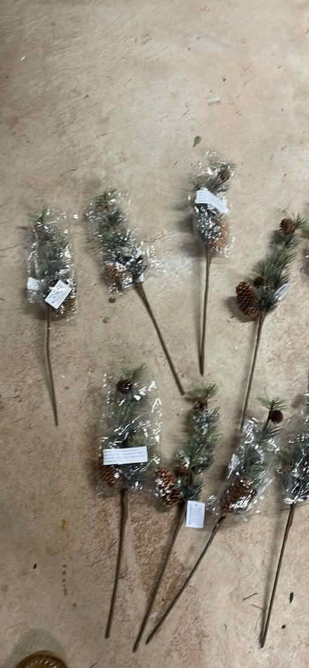 Photo of free Pine craft picks artify (Hatfield Pa) #2