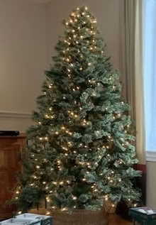 Photo of free Prelite artificial Christmas tree (Stittsville) #3