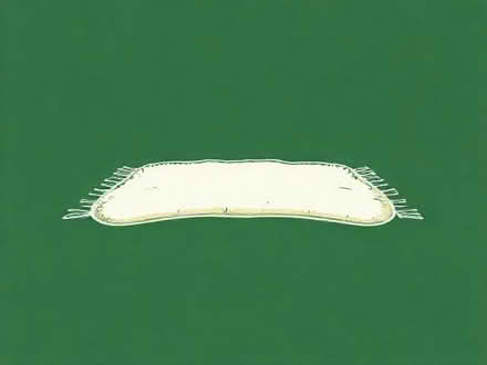 Photo of free Cream rug good condition 70cm x 138cm (Putnoe MK41) #1