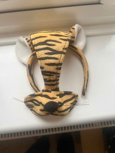 Photo of free Tiger fancy dress headband (Stretford Motorway Estate M32) #1