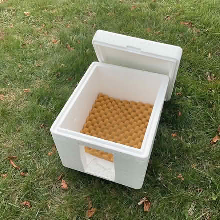 Photo of free Cat box (Brentwood) #2