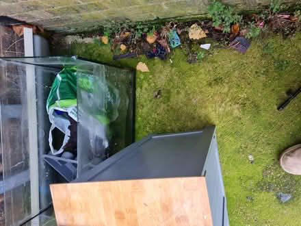 Photo of free Vivarium/glass fish tank? (Mousehold NR3) #2