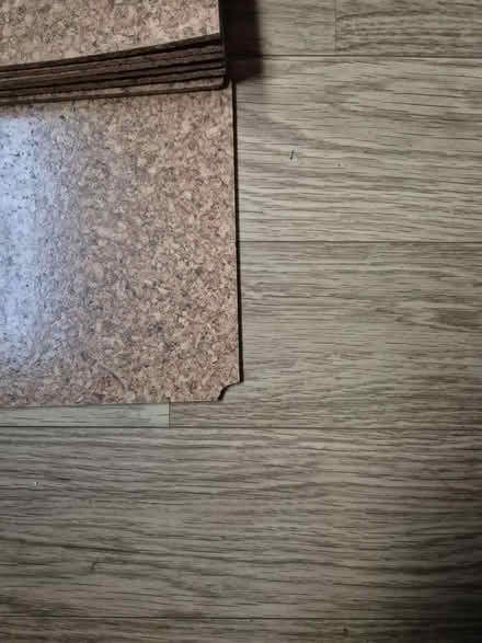 Photo of free 7 x cork tiles (Clerwood EH12) #2