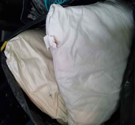 Photo of free Cushion inners / inserts (Kirklees HD9) #1