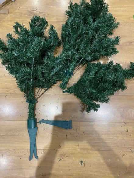 Photo of free Christmas Tree (BR6) #1