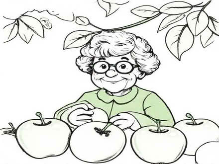 Photo of free Granny Smith Apples (Coalville LE67) #1