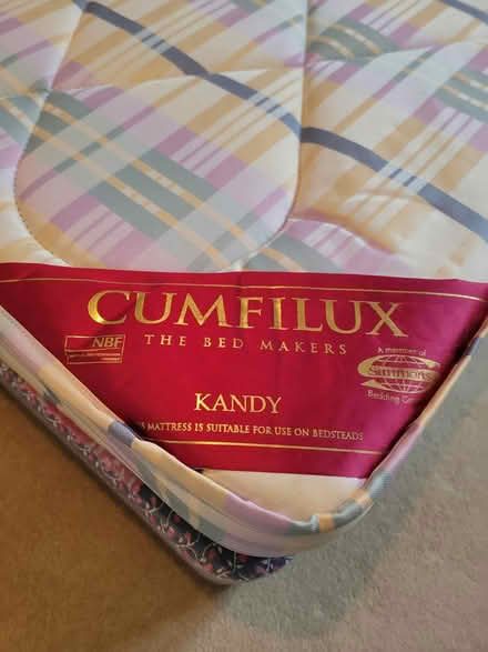 Photo of free 2x single beds with mattresses (Weston super Mare BS23) #3