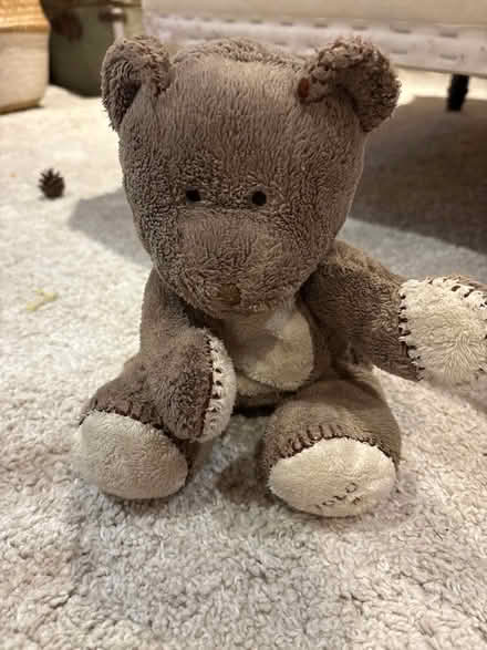 Photo of free Teddy bear (Beverstone GL8) #1