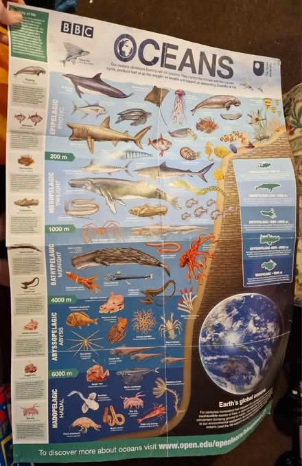 Photo of free Open University Posters (Barton/Headington, OX3) #2